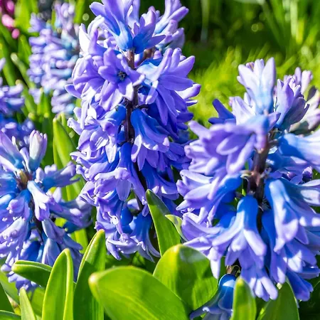 Sandepark 165 Near *